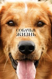Собачья жизнь 1 часть